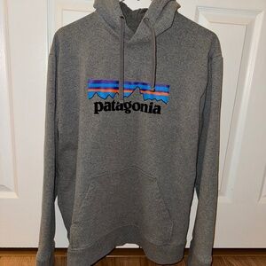 Patagonia hoodie